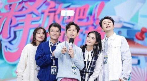 谈明星和粉丝,情感交织的璀璨星空